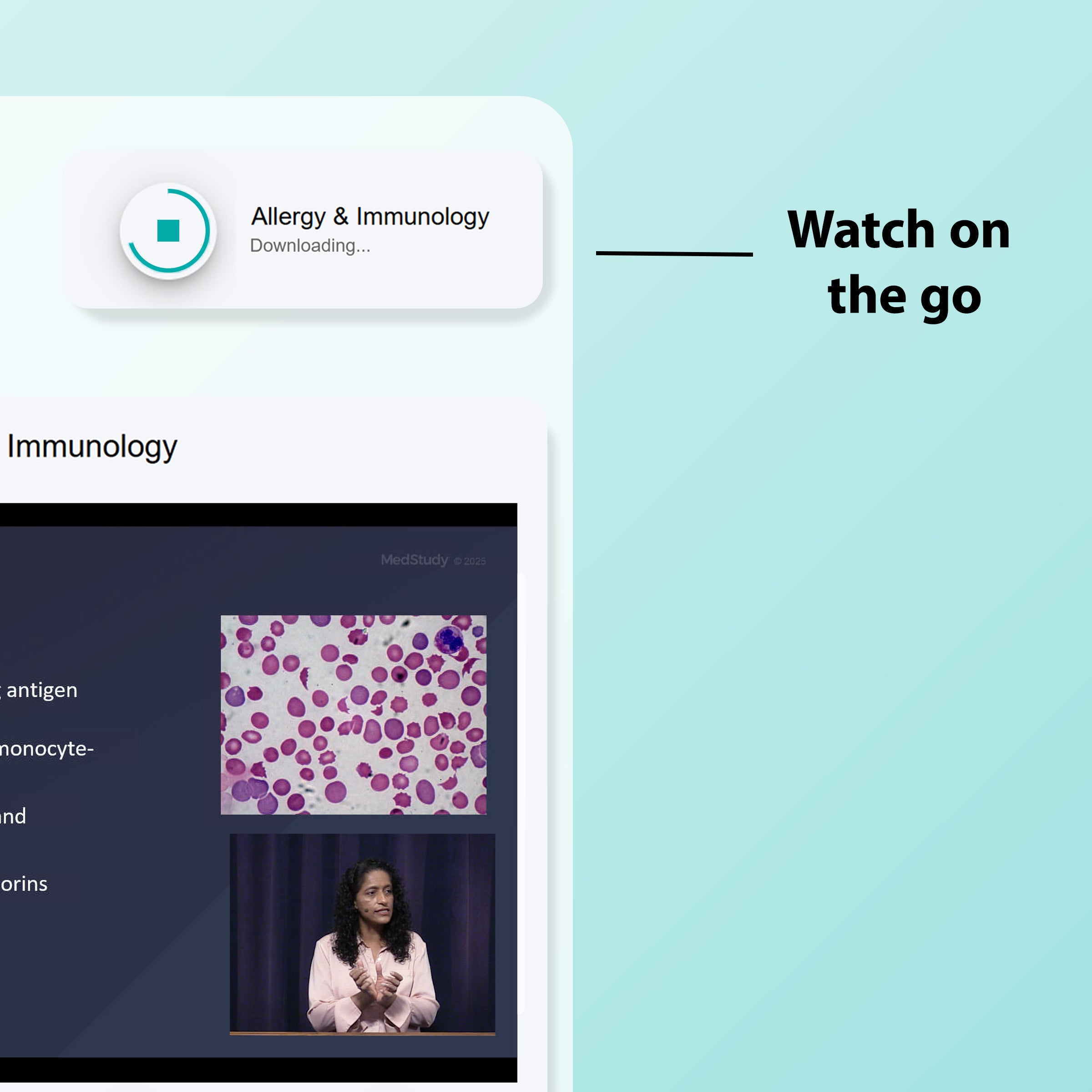 BRAND NEW! 2025-2026 Internal Medicine Video Board Review