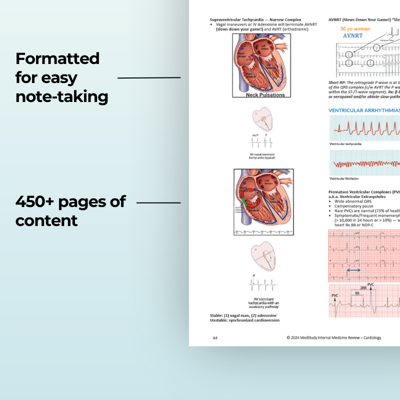 NEW! 2024-2025 Internal Medicine Video Board Review